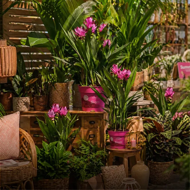Foremost Garden Center 1