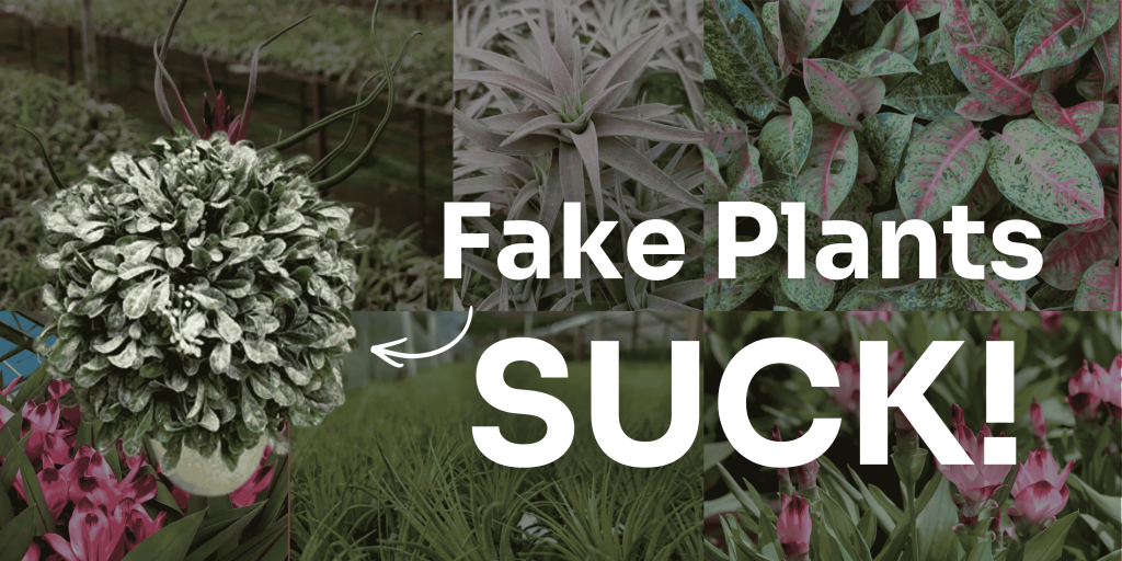 Fake Plants Suck Banner: Sustainability and Protecting the Environment