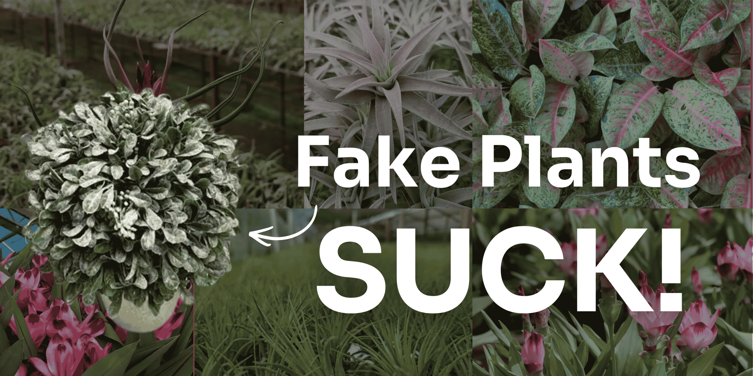 Fake Plants Suck Banner: Sustainability and Protecting the Environment