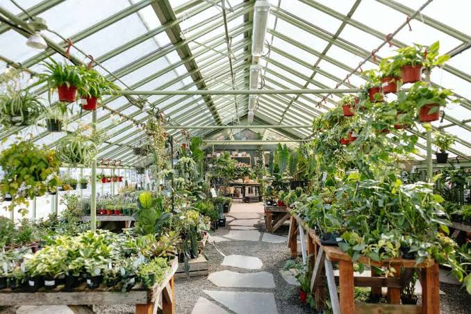 Garden center