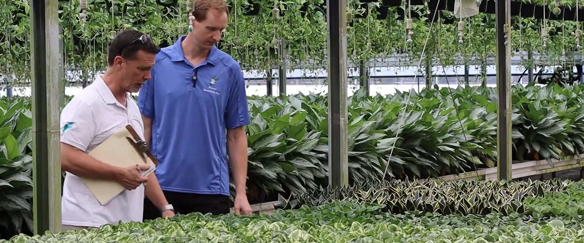 Maxwell Mercer discussing the Mercer Botanicals Peperomia program