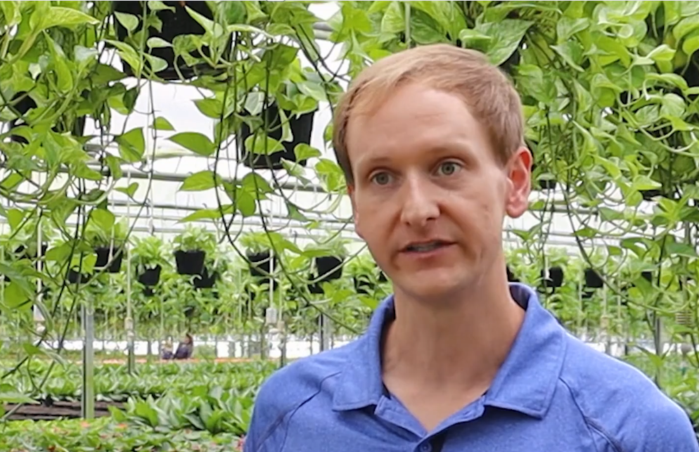 Mercer Botanical CEO